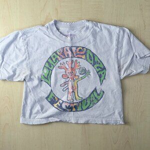 Lollapalooza Distressed Graphic Tee